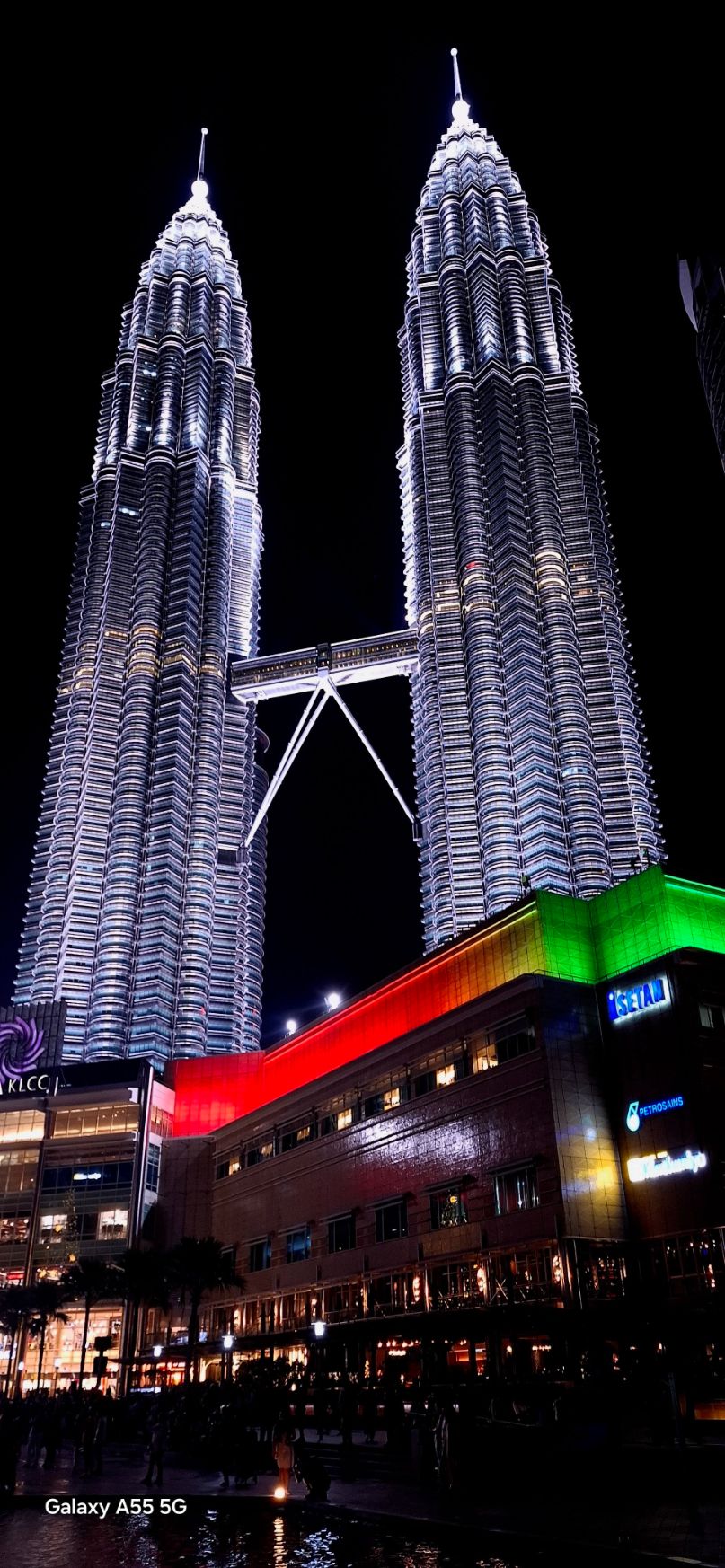 Project work in the Petronas ecosystem